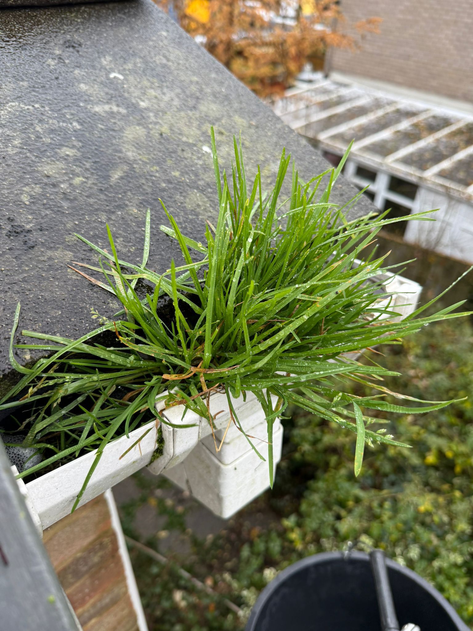 Blocked gutter downpipe in Charlbury